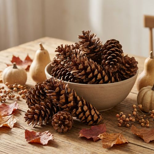 Pine cones Weymouth pine Strobus natural mixed 2,5kg | Floristik24.ie