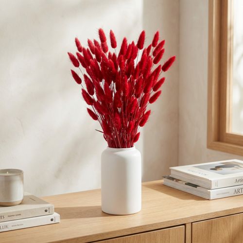Rabbit's Tail Grass (Lagurus) Dried Red 60cm 50g Dried Flower Decoration | Floristik24.ie