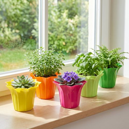 Planter for potted plants colorful assorted Ø10.5cm 10 pcs | Floristik24.ie