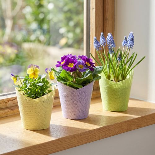 Plant pot woven paper green yellow purple Ø9cm H18cm 9 pcs | Floristik24.ie