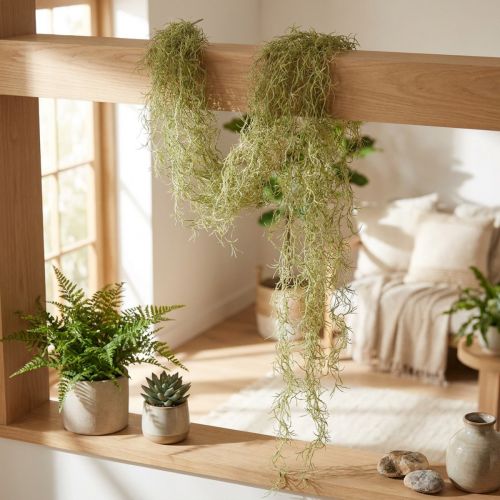 Tillandsia decoration hanging Tillandsia artificial green white 180cm | Floristik24.ie
