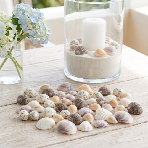 Shell decoration mini cockles