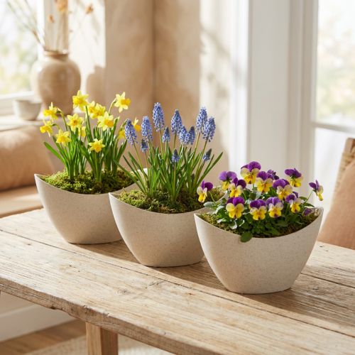 Plant Boat Decorative Bowl