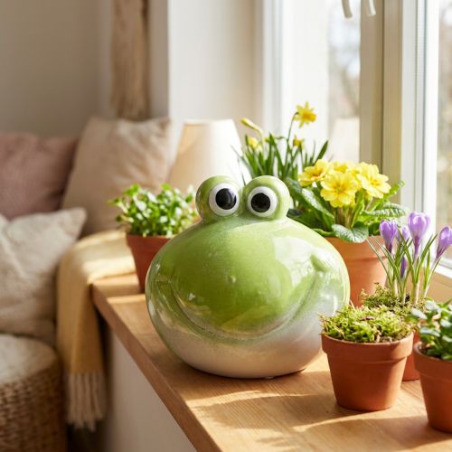 Frog decorative figure, cute