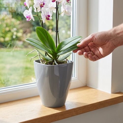 Orchid pot glossy Ø12.5cm grey 1 pc | Floristik24.ie