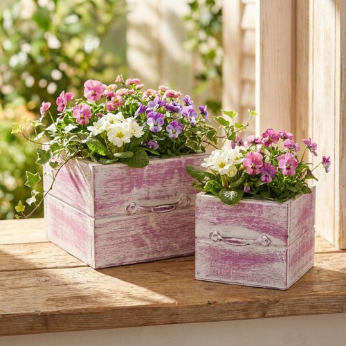Plant drawer with handle pink white wood 12/15cm set of 2 | Floristik24.ie