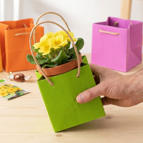 Gift bag, paper bag with