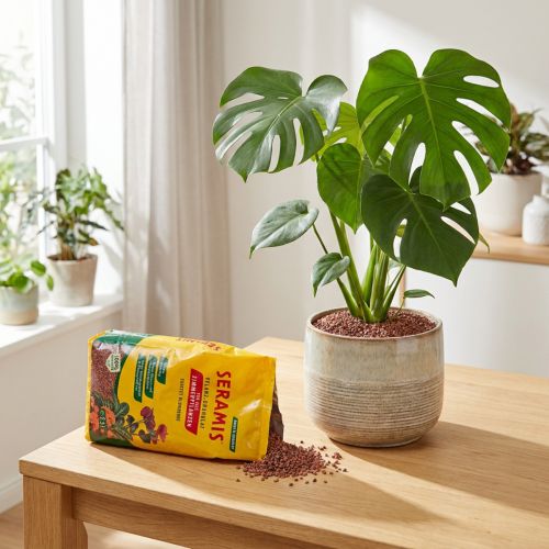 Product Seramis plant granules for houseplants 2.5l