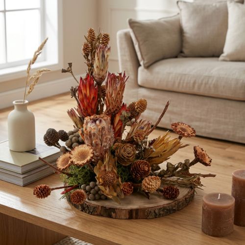 Dried Exotic Protea Cones Bellgum 24–48cm 580g - Artificial Flower Decoration South Africa | Floristik24.ie