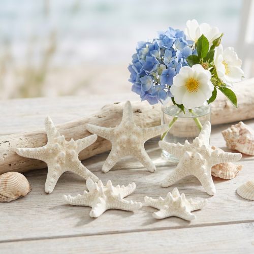 White Starfish Decoration, Dried Starfish for Crafting 7-11cm 15pcs | Floristik24.ie