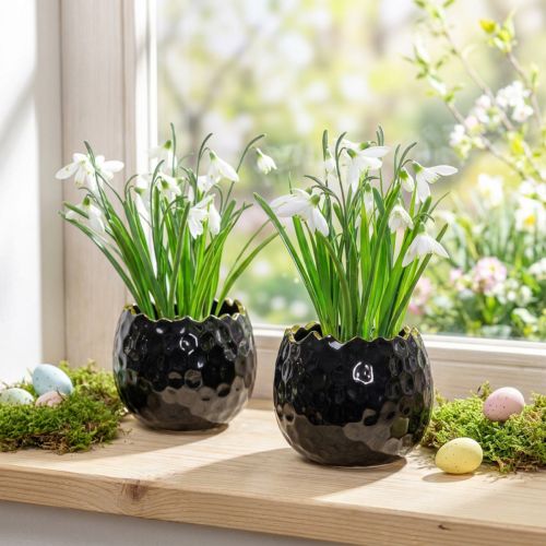 Ceramic egg-shaped flower pot, black, Ø10cm, H8cm, 2 pieces | Floristik24.ie