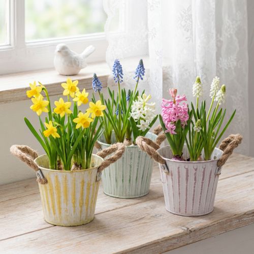 Planting bucket, metal pot with handles, decorative planter, pink/green/yellow, shabby chic, Ø12cm, H10cm, set of 3 | Floristik24.ie