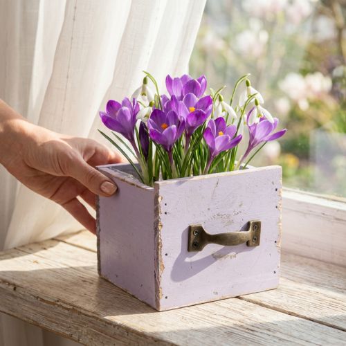 Drawer Shabby Chic Deco Wood Purple Spring Deco 12.5×12.5×10cm | Floristik24.ie