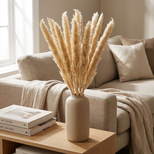 Pampas grass dried flower decorative branches for home and table decoration | Floristik24.ie