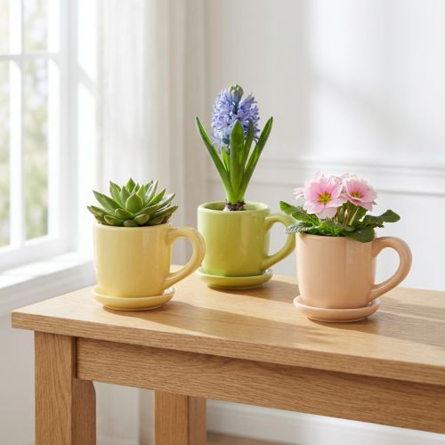 Product Coffee cup, decorative table decoration for a stylish room design with plants, 11cm, 3 pieces