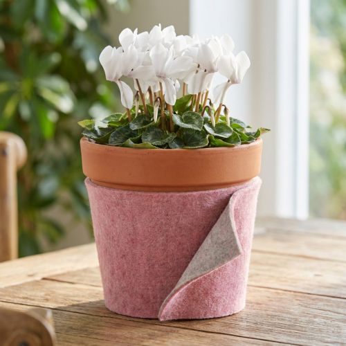 Felt ribbon, pot ribbon two-tone old pink/grey 15cm 5m | Floristik24.ie