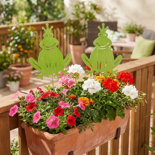 Wooden frog on a stick 30cm L62.5cm 2pcs. | Floristik24.ie