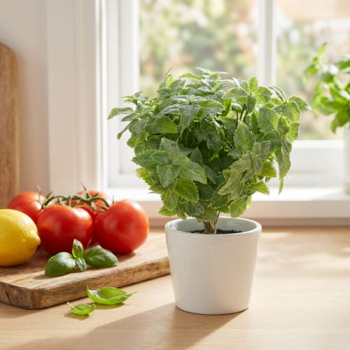 Mint artificial green 25cm 12 pcs | Floristik24.ie