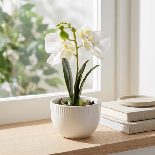 Mini orchids artificial white orchids in a pot 15cm | Floristik24.ie