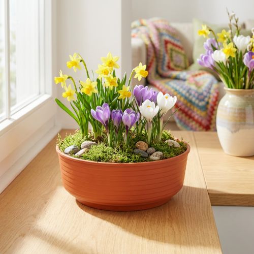 Z-bowl plastic Ø16cm 10 pcs | Floristik24.ie