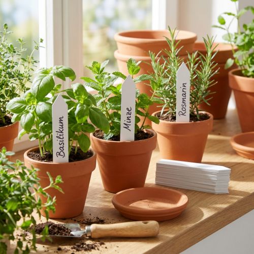 Stick-on labels 16mm x 100mm 250 pcs | Floristik24.ie