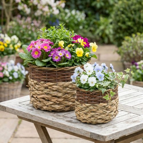 Wicker Basket Natural Wicker Plant Bowl Natural L30/22cm H20/17cm Set of 2 | Floristik24.ie