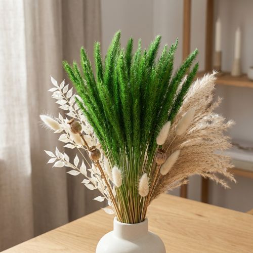 Product Green Bristle Millet Setaria viridis Dry Grass 52cm 28g