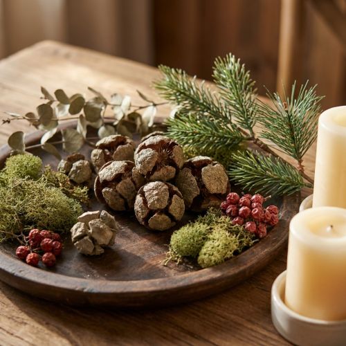 Cypress cones, natural, 3cm, 500g | Floristik24.ie