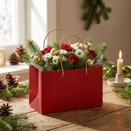 Gift bags red paper bags with handle 24×12×12cm 6pcs | Floristik24.ie