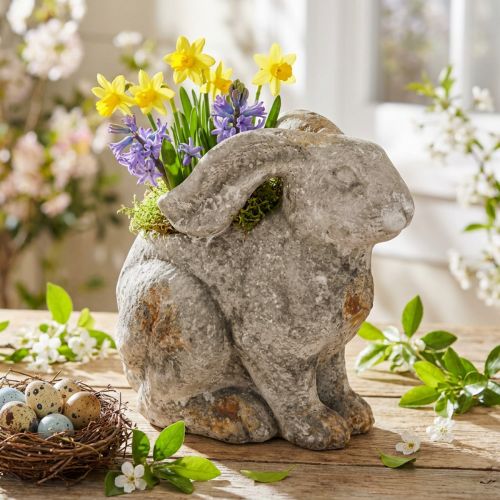 Concrete decorative rabbit flowerpot Easter antique grey H27cm | Floristik24.ie