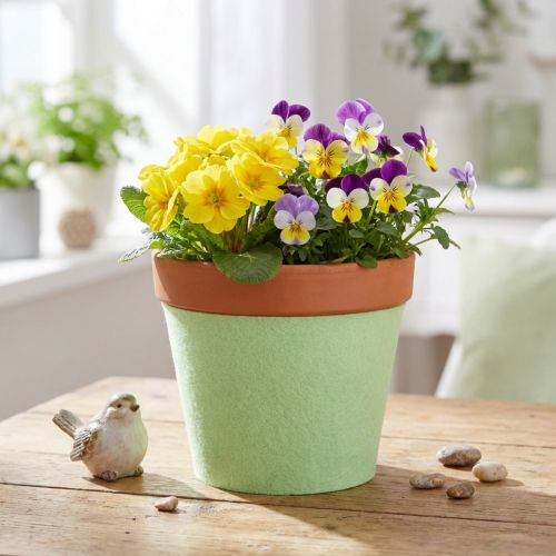 Felt Ribbon Pot Ribbon Light Green 15cm 5m | Floristik24.ie
