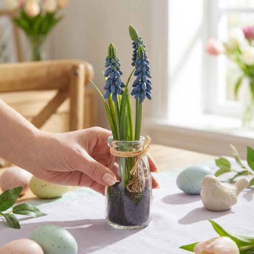 Hyacinth artificial Pearl hyacinth blue in glass H22cm 2pcs | Floristik24.ie