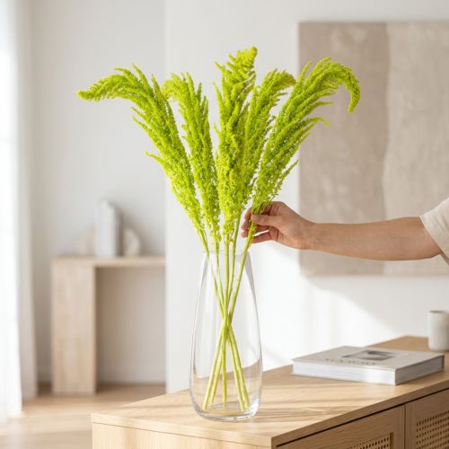 Amaranth Dried flowers Dyed light green for special home decor and unique accents 100cm 5 pieces | Floristik24.ie