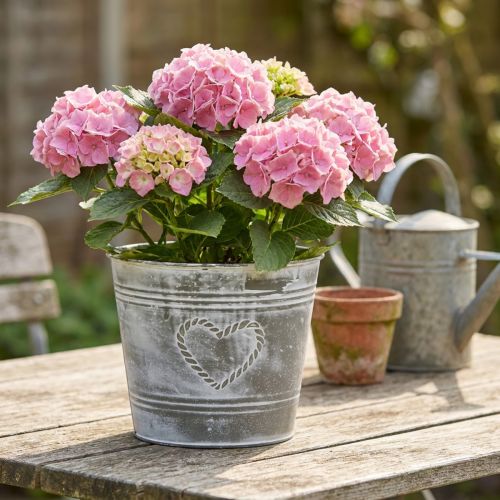 Shabby Chic metal flower pot with heart-shaped design, Ø22cm, H17.5cm | Floristik24.ie