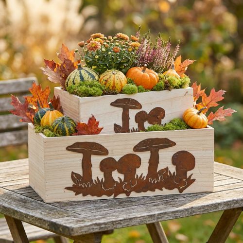 Plant box set, wooden boxes with mushrooms, autumn decoration, stainless steel L40 / 30cm, set of 2 | Floristik24.ie