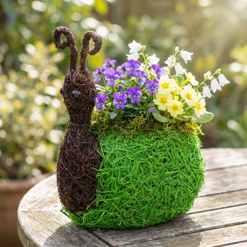 Planter Snail Vine Natural, Green 21x14cm H26cm | Floristik24.ie