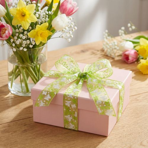 Organza ribbon butterflies green gift ribbon 25mm 20m | Floristik24.ie