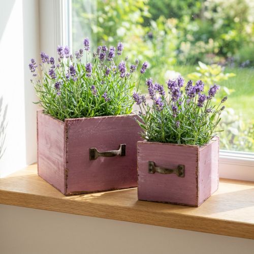 Plant drawer plant box wood purple 12.5/16cm set of 2 | Floristik24.ie