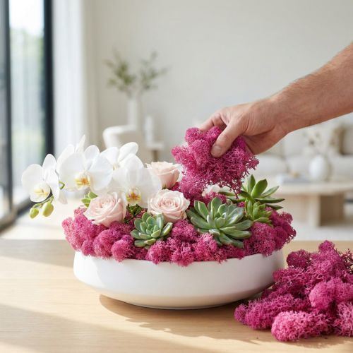 Decorative moss Reindeer moss Erika 400g | Floristik24.ie