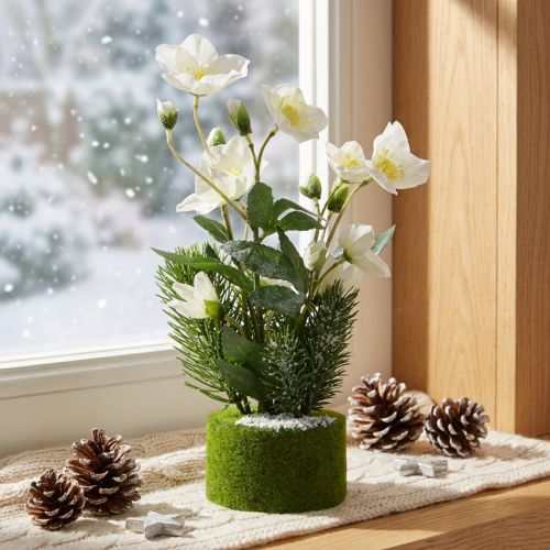 Christmas rose with fir tree and moss ball, artificial, white snow-covered, 33cm | Floristik24.ie