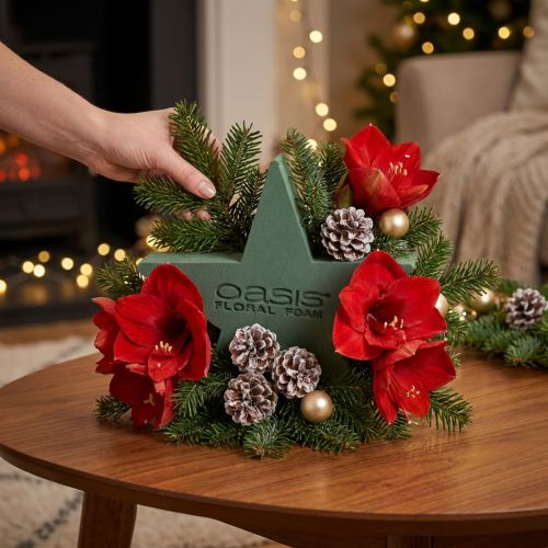 Wet floral foam star for arrangements 25 x 25 x 4.5 cm | Floristik24.ie
