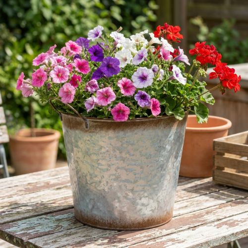 Plant pot with handles, decorative bowl with rust finish, silver metal container Ø26cm H25.5cm | Floristik24.ie