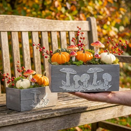 Wooden box set toadstool, autumn decorations, garden decorations, plant boxes L40 / 30cm, set of 2 | Floristik24.ie