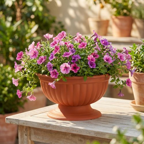 Product Bowl with base terracotta Ø26cm