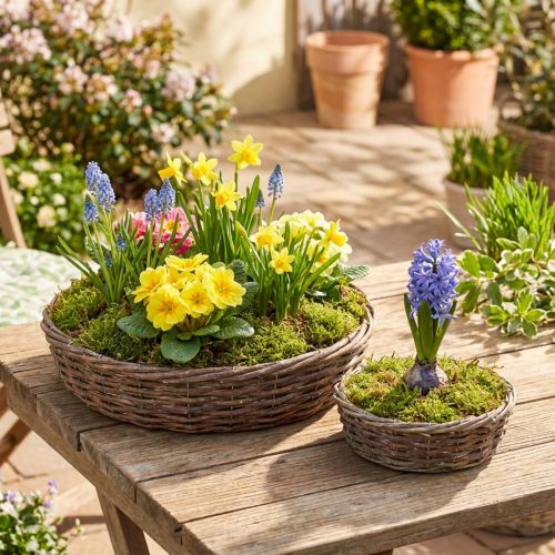 Planting ring, planting bowl, wood, natural grey, Ø30/35cm, set of 2. | Floristik24.ie