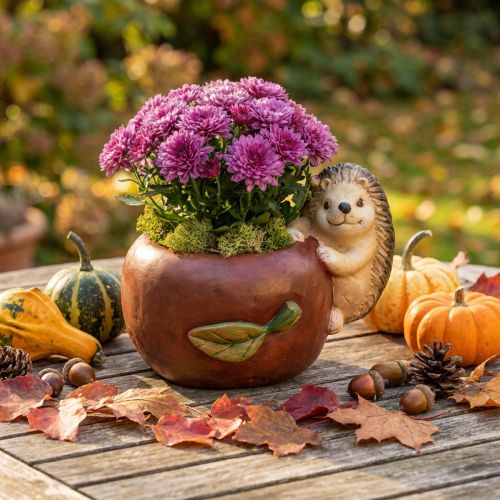 Planter, apple with hedgehog, autumn decoration, cachepot, ceramic Ø16cm H22cm W33cm | Floristik24.ie