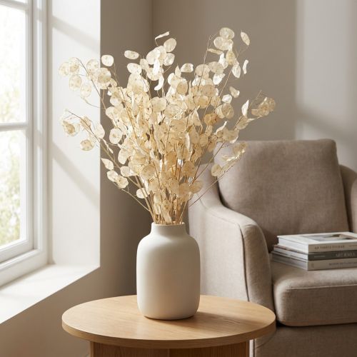 Lunaria Dried Money Plant Dried Flowers Natural 90cm 100g | Floristik24.ie