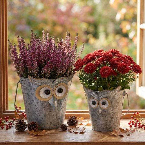 Product Decorative bucket owl planter zinc with handle Ø15/19cm set of 2