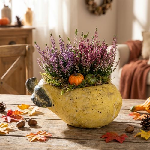 Decorative pear-shaped planter, autumn plant pot, concrete, 25×13×11cm | Floristik24.ie