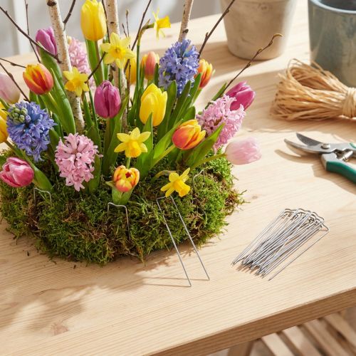 Product Patent-applied 17/80 2.5kg plant needles for fixing in floral arrangements